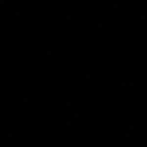 Meet your Posher, Ella